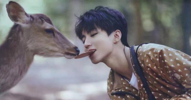 演唱会|TFBOYS7周年演唱会来了,3兄弟谁走的最好呢,是王源吗?