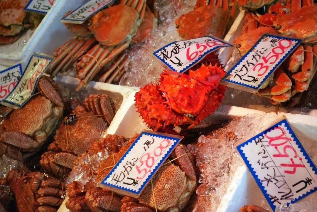 螃蟹|去日本哪里能吃上最好的日本蟹?