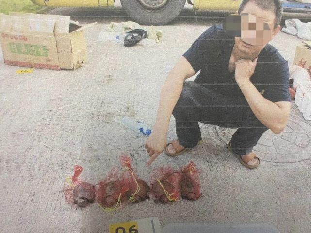 告人赖某|利益熏心经营“特殊野味”,这名餐馆老板获刑2年10个月!