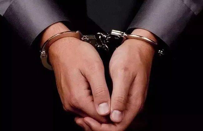 他俩|贪吃惹祸，他俩为了一个蜂窝赔了97.46万元！