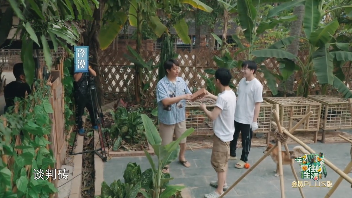  何老师|一只鸡要十捆香蕉！黄磊拿板砖“威胁”导演，周迅调侃彭彭太自恋