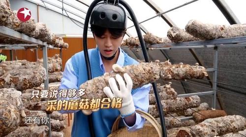 战宝藏行|《极挑》任嘉伦再次开启“碎碎念”模式,节目中又有新技能!