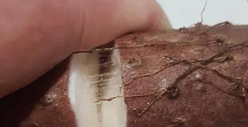 技巧|买山药不会挑选怎么办? 老农分享技巧: 牢记4点, 买到的新鲜好吃