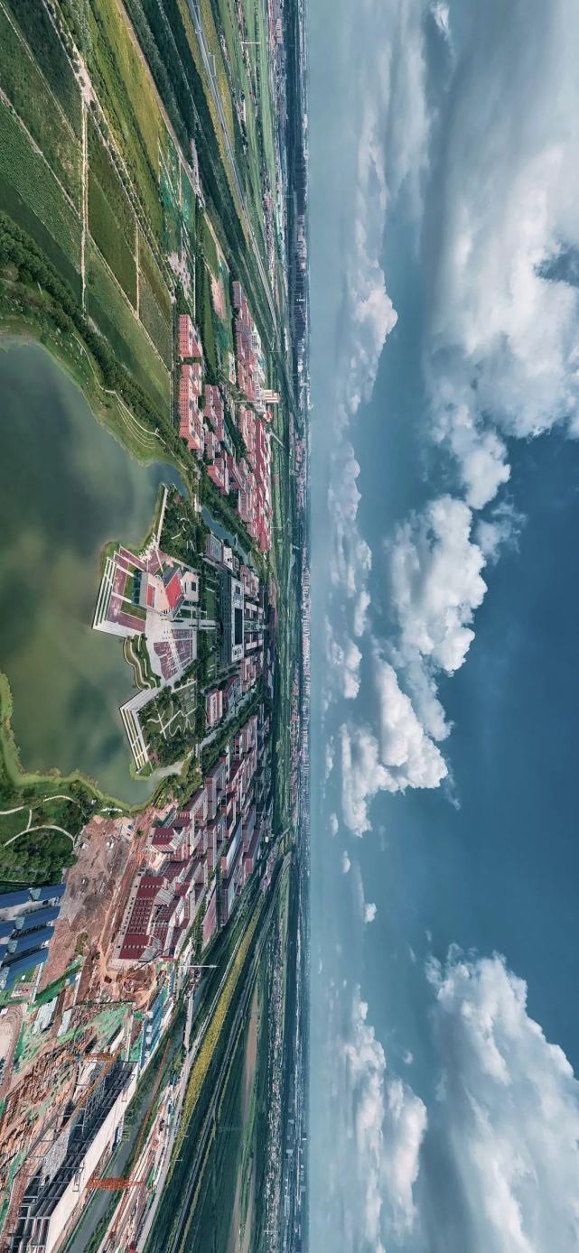 北洋园|啊,我的天大啊!