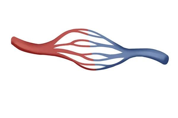  腰部|平时腰没问题，但一干活就腰疼，是怎么回事？或许并非是假装腰疼