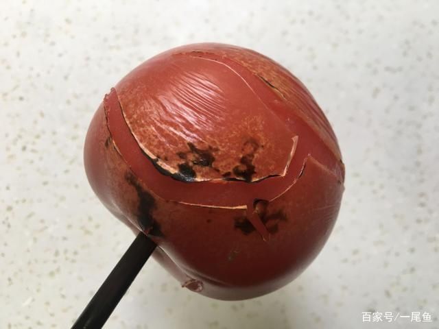  汤汤水水|秋天不用早起，早餐吃它最省事，十分钟准出锅，汤汤水水真好吃