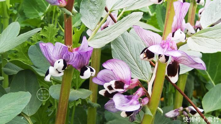 看不起|不要看不起别人做事,却羡慕别人的收获