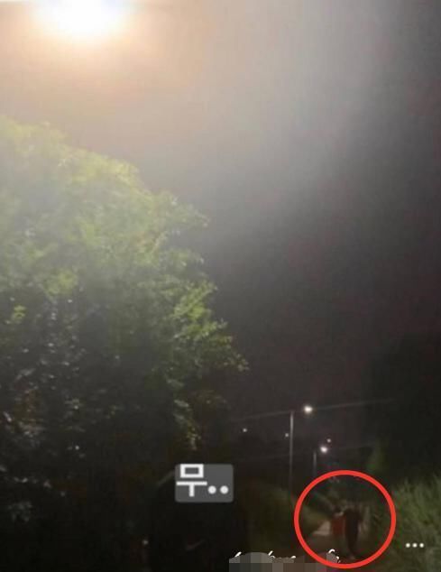  女方|世纪复合成真？宋慧乔玄彬被曝深夜约会，女方遛狗视频也有玄机