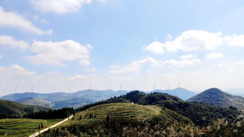  天泉|花竹天泉——花竹山
