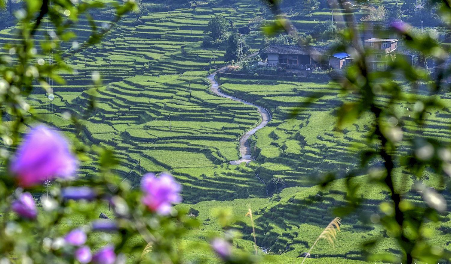蛤蟆|养在深闺的联合梯田，蛤蟆一跳过三丘