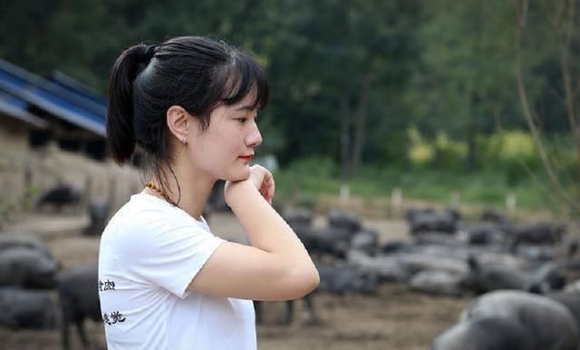 养猪|95后大学生毕业回家养猪,父亲为她婚事发愁,扬言:陪嫁300头猪