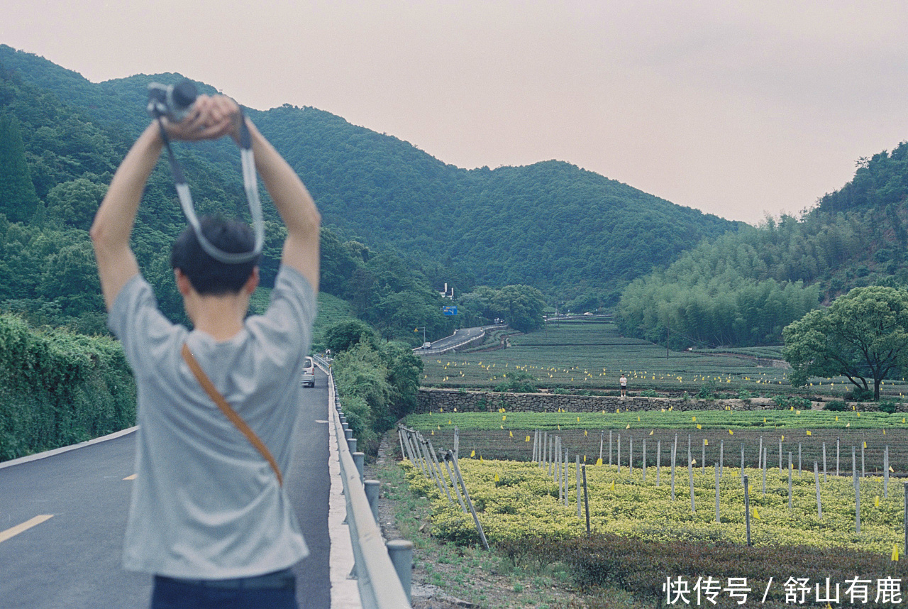 万事|戾气暴躁,害人不浅:做人不“静”,万事皆“失”,唯静有千益