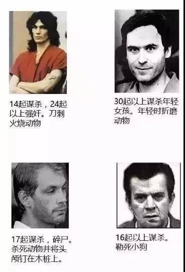 虐杀|大学生残忍虐猫：我家有钱我牛B！被退学后仍旧直播虐杀猫