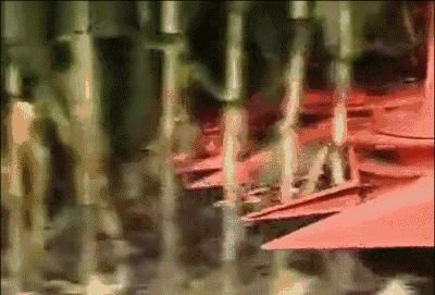 世界|德国凭这几张照片，再次震撼世界！太牛了