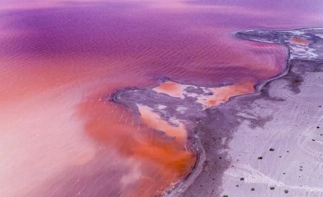 想象|不必远赴澳大利亚就能拥有的粉红湖、空中草原,西藏之西比想象中更惊艳!