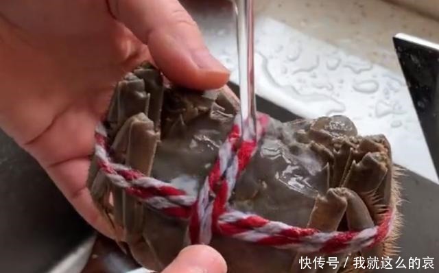 知识|大闸蟹蒸几分钟合适星级厨师现场操作,看完涨知识了