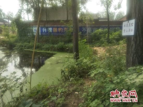  出新招|西平县师灵镇：防溺亡出新招 水塘配竹竿