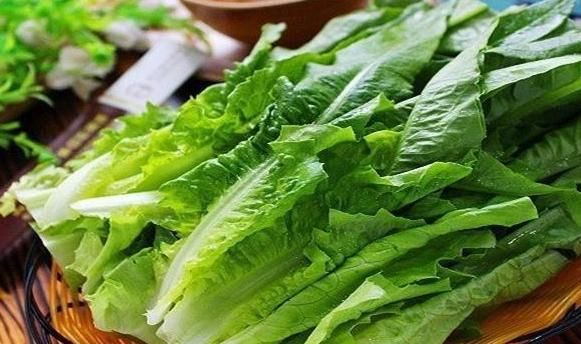  禁忌|油麦菜好吃却不能乱吃，注意吃油麦菜的一大禁忌，健康随之而来！