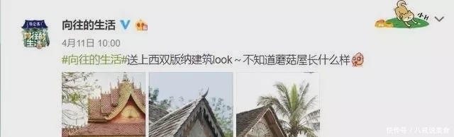 向往|《向往4》被曝低调开录,拟邀嘉宾无一加盟,参加明星被嘲无聊