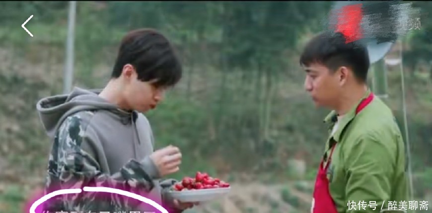 堪忧|刘宪华只顾自己吃草莓不懂分享,等黄磊生气才反应过来,情商堪忧