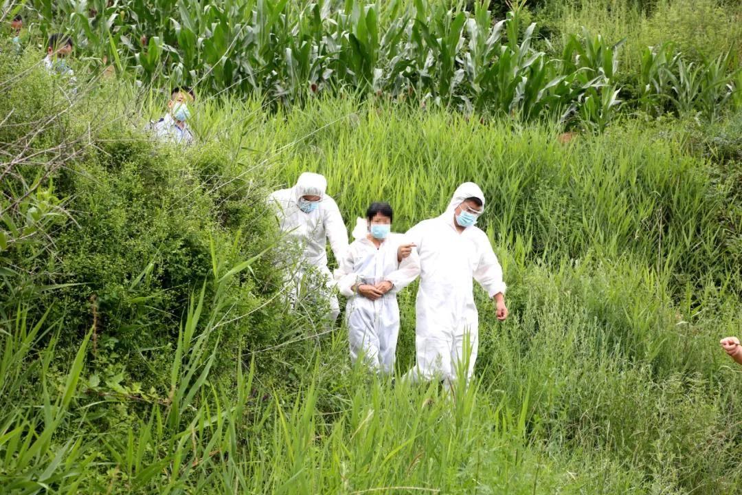  被捕|不正当关系被发现，妻子与情夫杀死丈夫，逃亡30年后年近古稀被捕，被害者被埋在山坳至今