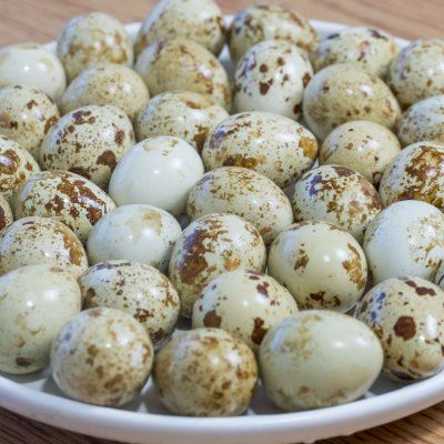 就可以|学会鹌鹑皮蛋,生活有滋有味儿