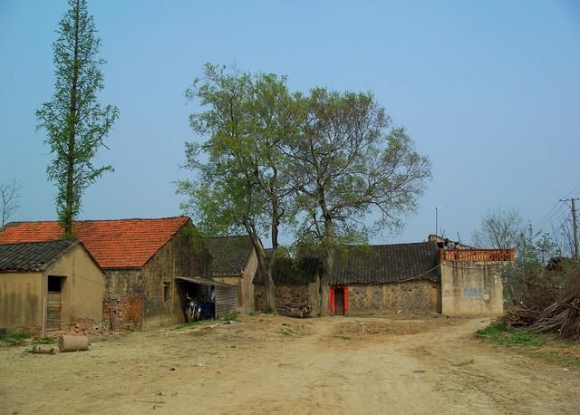  张长禄|80年代“煤气案”：农民烧煤炉，致邻居孩子因煤气身亡，被判无罪