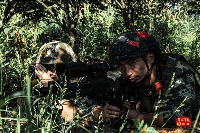 捕歼|密林深处，武警特战队员山林地捕歼战斗打响