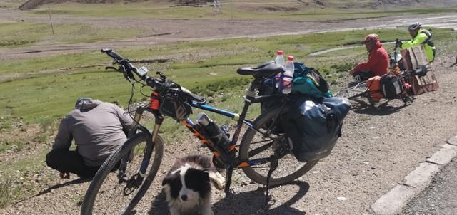  走失|新藏线挑战第二十七天，边牧“拉萨”被主人领走，希望它不再走失