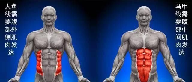  减掉|想要练出腹肌马甲线，减掉小肚腩，知道下面这些就够了