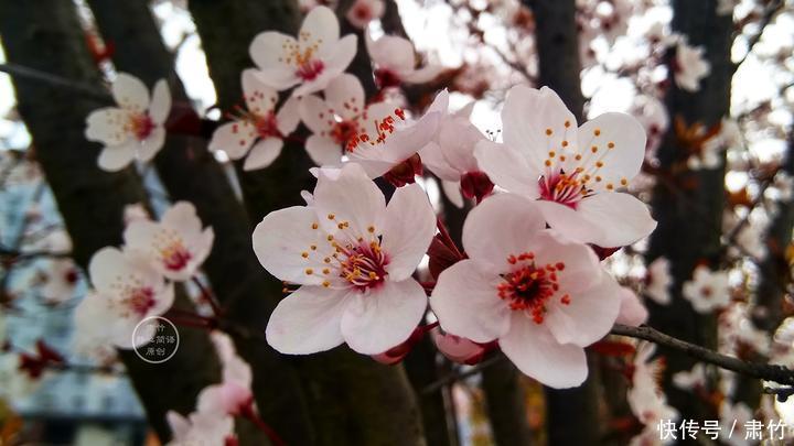 结局|很多人的爱情,都是随着毕业而终结的