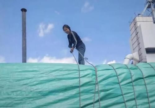  看不起|为逃高速费，货车司机将妻子丢在高速上，交警怒斥：我看不起你