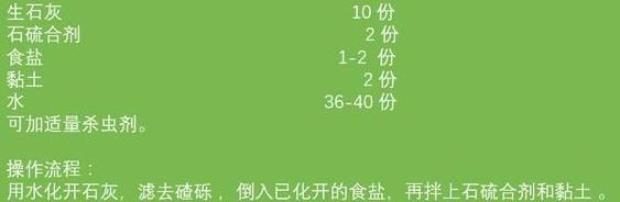 大规模|柿子大规模脱落，只因树上生白蚧，农村4条防治技术轻松搞定！
