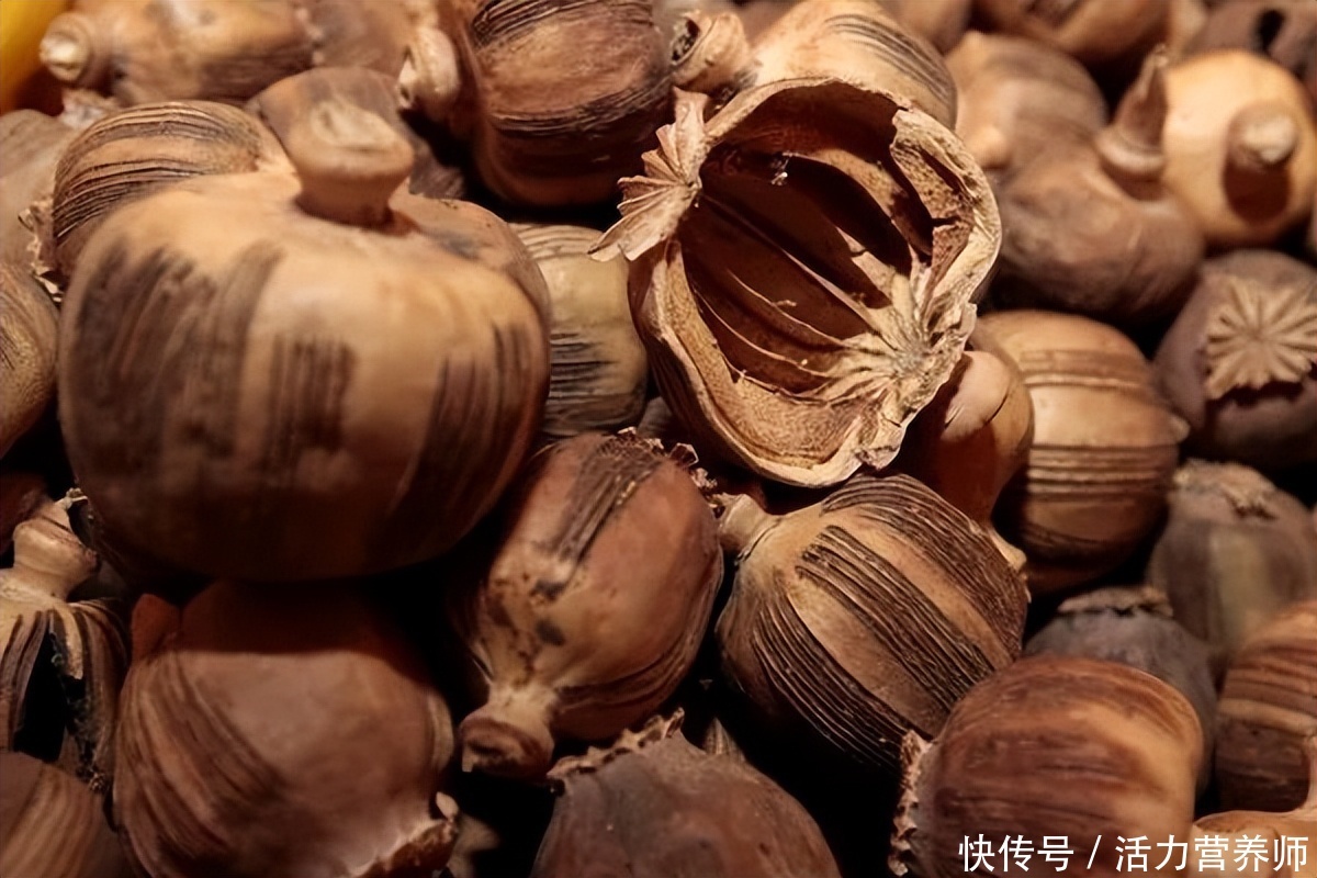 往食物中放入“罂粟壳”，让人上瘾还好吃？别再这么做，不是好事2023