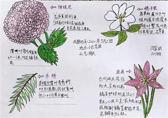 天文学家|科学阅读 | 星空真的浩瀚无边吗？要不要为梦想而冒险？孩子的想法值得读