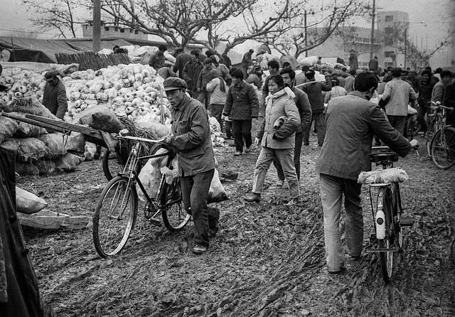  年代|80年代“西瓜田电击案”：男子拉电网防偷瓜，闹出人命被判刑