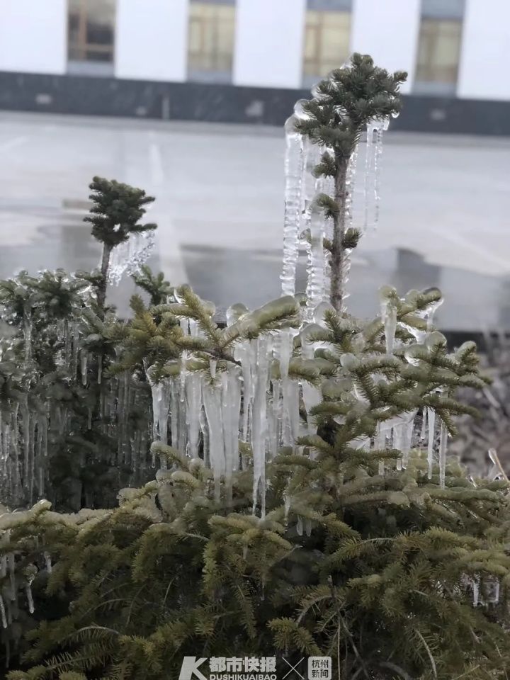  青海|厉害！大关中学90后教师，在青海带出一个超牛的班