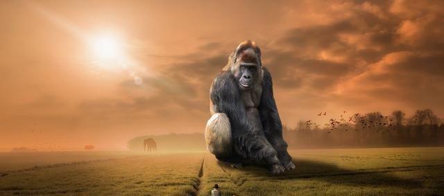  特质|3个活在自己世界的十二星座，都有哪些特质？