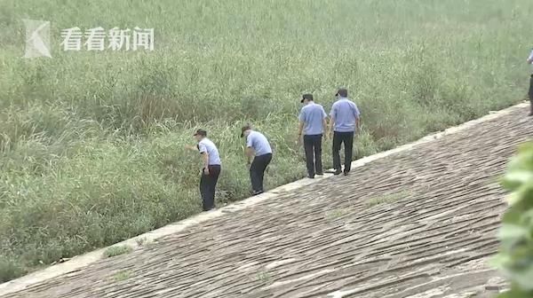  洗澡|长江边洗脚落水 被救上岸后还想去水里“洗澡”