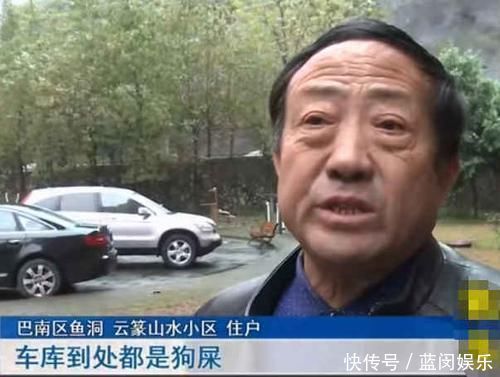 发现|一个月内小区里死了20多条狗,业主在草坪上发现了罪魁祸首