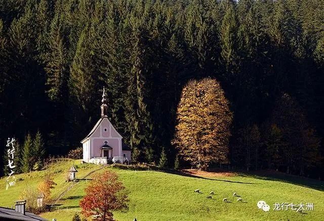  世外桃源|「奥地利」世外桃源般美丽的哈尔施塔特湖畔