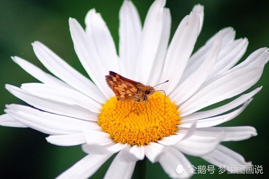 命宫|十月上旬开始，喜多财旺，事业有成，好运如雨的生肖