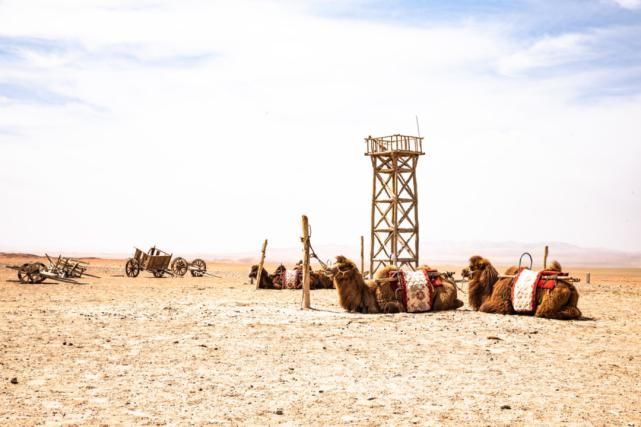  西安|打败镰仓、西安上榜LP亚洲Top1旅行地，去过才知中国还能美成这样！