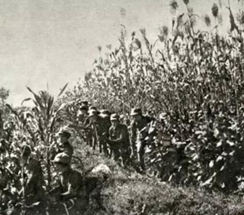 战士|战士将击毙日军头颅砍下,挂树上祭奠战友,唯一逃回的鬼子被吓死