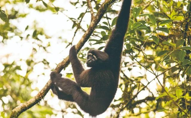 生长|云之南，一个生生不息、万物生长的地方