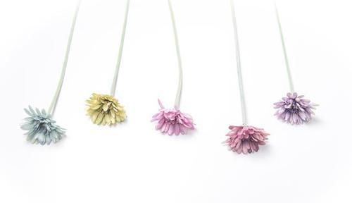 安静|安静也是一种心态（值得一读）