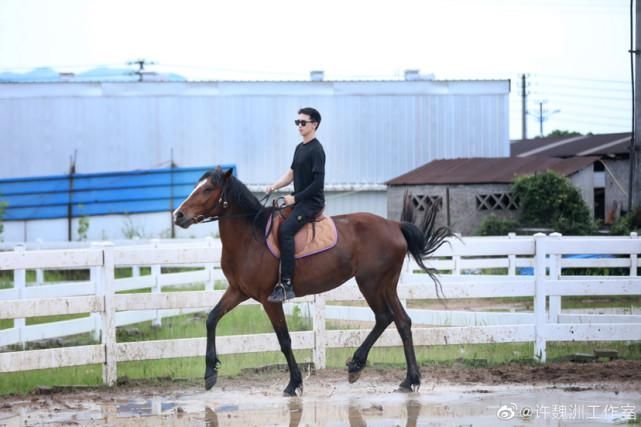  丁禹兮|王一博、郑爽、黄子韬、许魏洲、丁禹兮