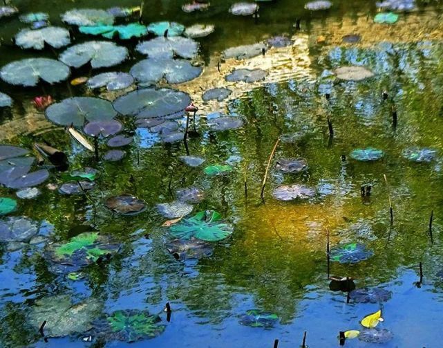  遐想|【视觉影像】津门网陈盈国：《界》遐想摄影展