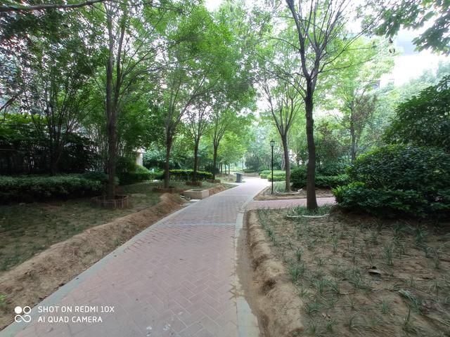  体验|被低估的大屏老年机：Redmi 10X开箱和轻体验