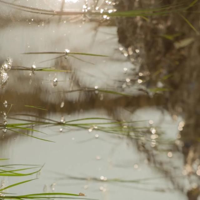  shui|陈燕：光不度，shui水成文